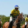 campbellpolo